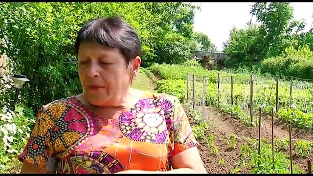 Бурундуки оставляют благовещенских садоводов без клубники и вишни смотреть онлайн