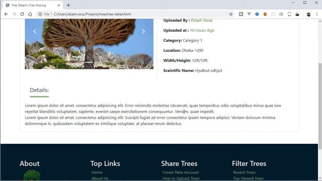 #0 Tree Sharing Website Development by Laravel and Vue JS - Introduction смотреть онлайн