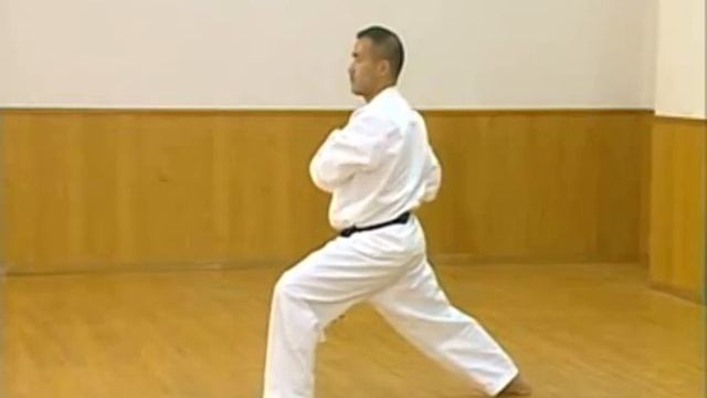 Каратэ Киокушинкай: Ката - Пинан Соно Го | Kyokushin Karate: Kata - Pinan Sono Go смотреть онлайн