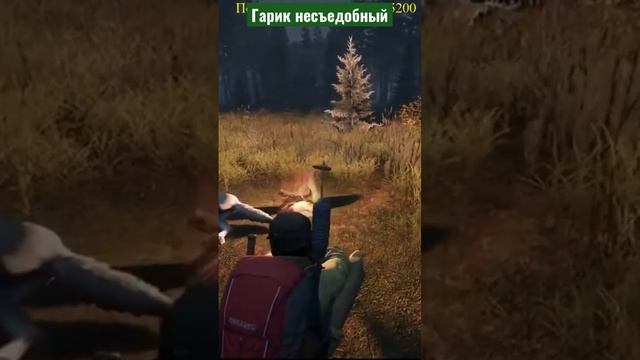 Несъедобный #stream #леший #gaming #stalker #dayz #hunting #гайд смотреть онлайн