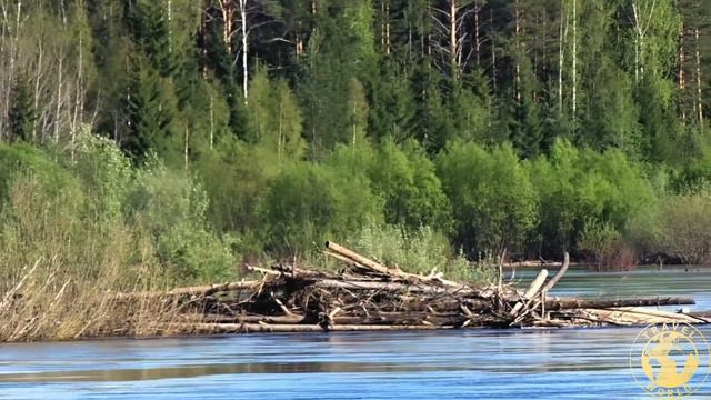 Река Луза. ВЕСНА-ЛЕТО 2020 года. смотреть онлайн