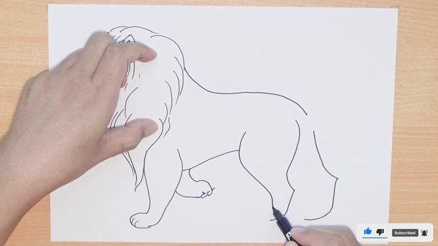 How to Draw a Lion Easy Step by Step Lion Drawing смотреть онлайн