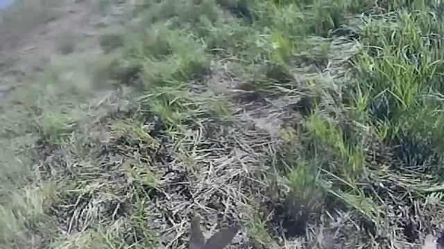 Рыбалка на закидушки в шторм 28 06 2018 Щука рвёт язей смотреть онлайн