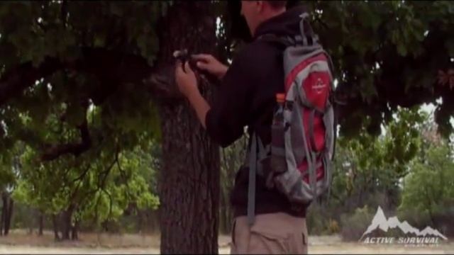 Active survival | Веревочная лестница смотреть онлайн