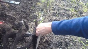 Диски на фрезы мотоблока.