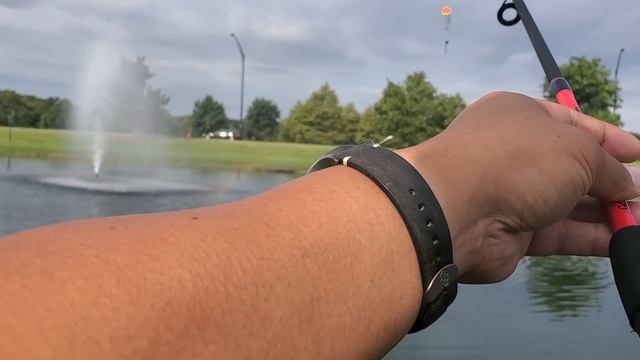 Pond Fishing for Bass and Bluegill Using Berkley Gulp Minnows VS. the Texas Rig Fluke смотреть онлайн