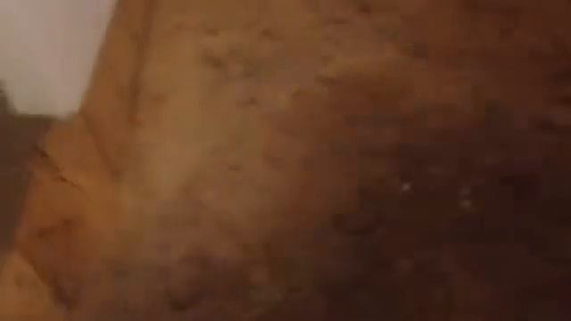 Подстилка Нетто Пласт под птиц смотреть онлайн