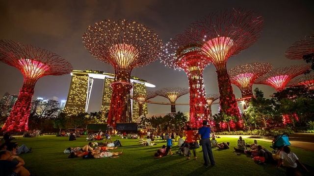 туту авиабилеты купить смотреть онлайн