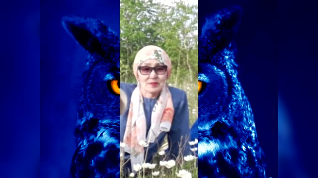 Таайбараҥна таайсыах