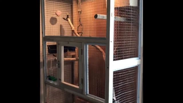 Вальер для неразлучников своими руками смотреть онлайн