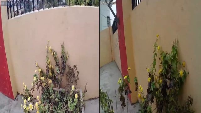 #Akaso #V50X Vs #Campark #V40 Vs Akaso Brave 7 LE CAMERA TEST REVIEW | COMPARISION | Specifications