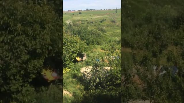 Мой большой лог смотреть онлайн