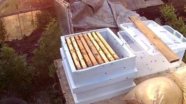 обсушка после откачки 4:25 утра, но начали с 4 утра летать смотреть онлайн