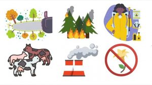 Видео 5  Охрана растений