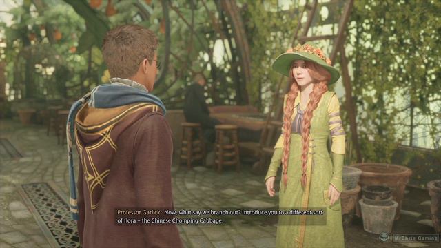 Herbology Class by Young Professor Garlick, and Mandrake - Hogwarts Legacy смотреть онлайн