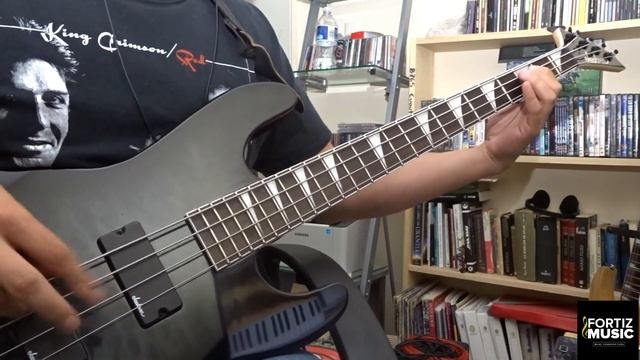Iron Maiden-Stranger in a Strange Land Bass Playthrough смотреть онлайн