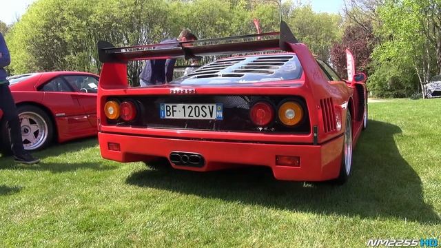 Ferrari F40 with Catless Exhaust LOUD Revs & Backfire Sound! смотреть онлайн