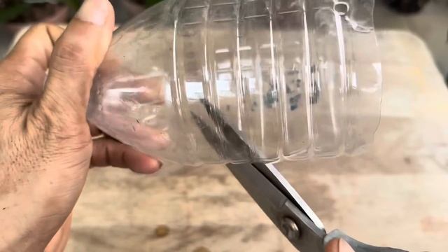 Thật Lạ Nó Làm 1 Phong Lan Hồi Sinh Lập Tức Và Dễ Dàng смотреть онлайн