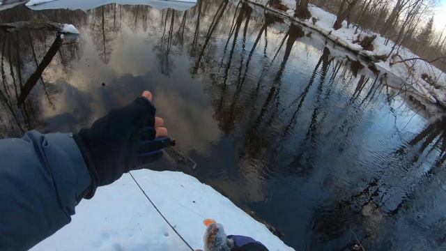 Щука перед половодьем! Трофей малой реки! Джиг спиннинг весной. Иван Кашицин. смотреть онлайн