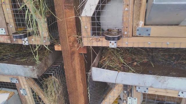 #10 Поддоны для навоза в клетку для кроликов своими руками Подвожу итоги за 5 месяцев эксплуатации смотреть онлайн
