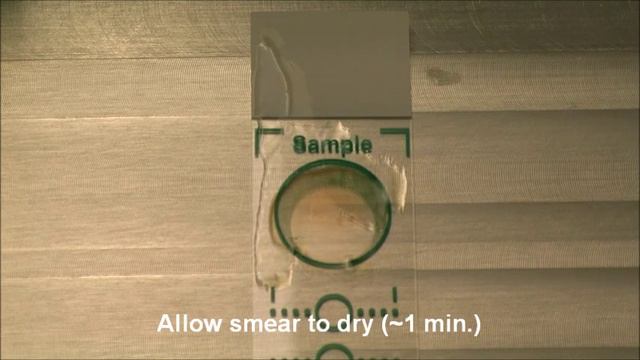 QuickFISH - Introduction to 20 Min. Pathogen ID (NM) смотреть онлайн