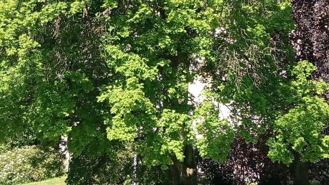 И снова Чехия!На сей раз-Марианские Лазни.Первый день.