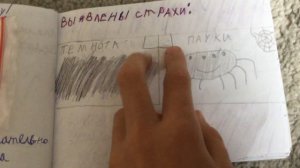 Обзор на медицинскую карту кота басика