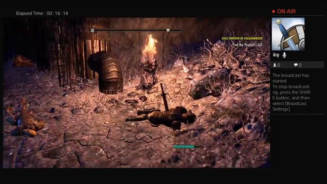 Skyrim online смотреть онлайн