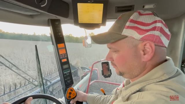 CASE IH 2388 Axial-Flow Combine Harvesting Soybeans