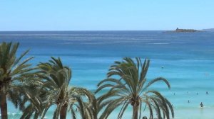 Видеофон. Футаж. Пальмы на берегу океана