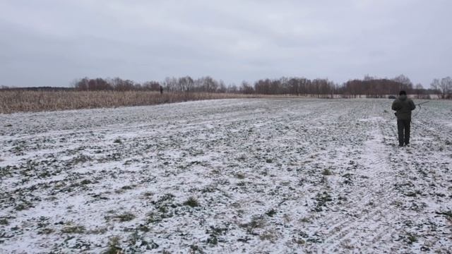 Тропление Зайца зимой, охота без собак. [Шлях до Трофею №4]