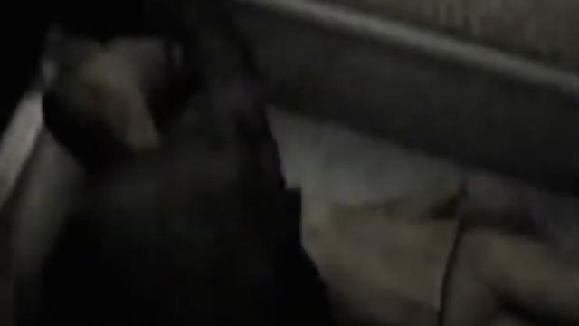 Silent Hill 2 My soul hurts without you, Mary! смотреть онлайн