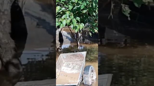 Сел дар н.Восеь д.Гулистон 2 ва 3 июн 2019 смотреть онлайн