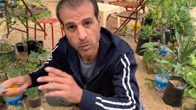 زراعة أجمل نباتات الزينة سهلة العناية والاكثار، زهور متعددة الألوان (جارونيا ، لقلقي ، إبرة الراعي)