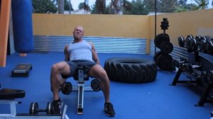 Тренировка рук на массу