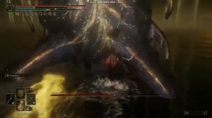 КАК ЛЕГКО ПОБЕДИТЬ ФИНАЛЬНОГО БОССА РАДАГОНА/ЗВЕРЯ ЭЛДЕНА