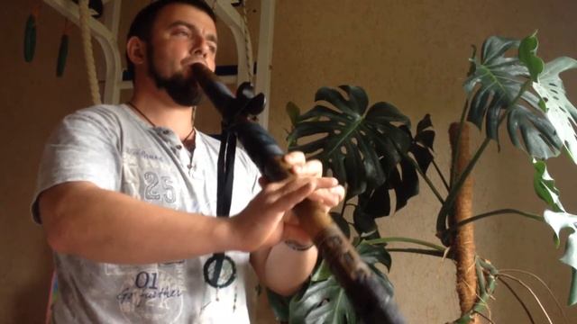 Флейта Пимак. Native American Flute. E minor. Отрывок из Scooter-how much is the fish смотреть онлайн