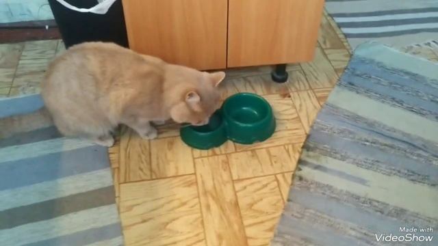 Как приготовить супчик из сайры!?Суп холостяка 80 уровня!))) смотреть онлайн