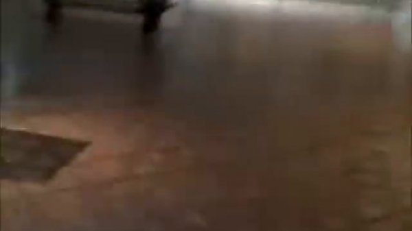 Chicago Art Institute .Чикаго . Институт икусств.