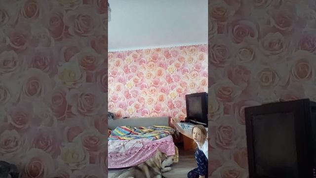 Как научить собаку-команде лежать? смотреть онлайн