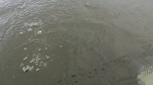 Опять ювелирка! Сбежала я на пляж!.mp4