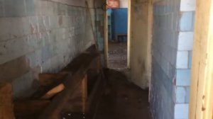 Заколдованный участок（2 часть）