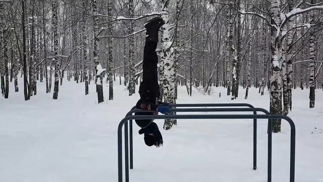 Стойка на предплечьях на брусьях зимой смотреть онлайн
