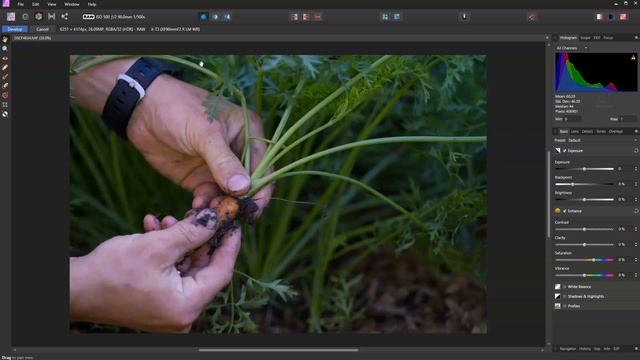 High School Journalism: Adobe Photoshop vs. Affinity Photo смотреть онлайн