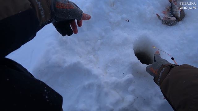СТОЛЬКО ОКУНЯ Я ЕЩЕ НЕ ЛОВИЛ! А ОТПУСТИЛИ С ПОЛ МЕШКА. Зимняя рыбалка 2022. смотреть онлайн