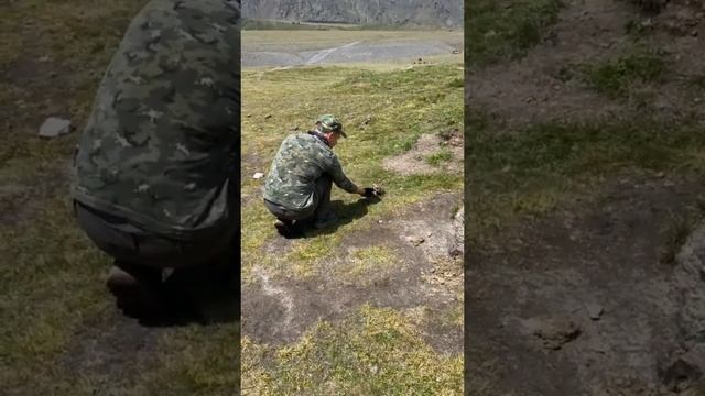 Кормим сусликов смотреть онлайн