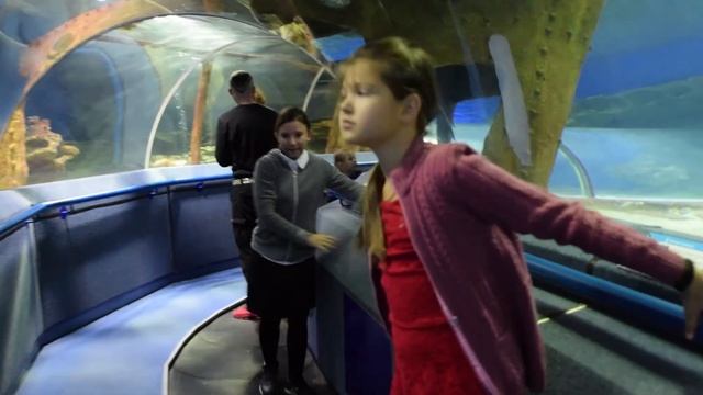 Пушкинцы в Океанариуме смотреть онлайн