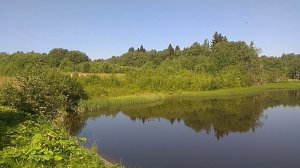 пруд в деревне Ефаново. июль 2023 г