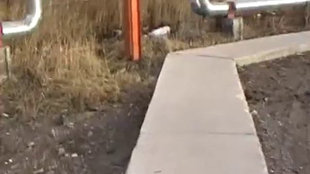 25а13помойка Электронмаш смотреть онлайн