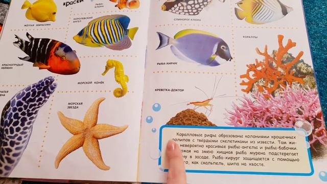 Обзор детских книг. Большая энциклопедия в картинках. Книги детям. смотреть онлайн